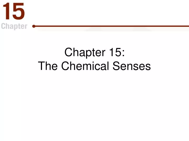 chapter 15 the chemical senses