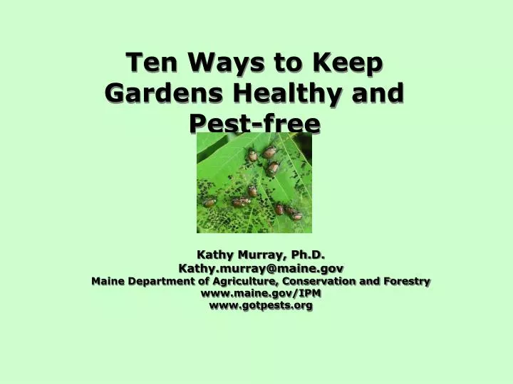 ten ways to keep gardens healthy and pest free