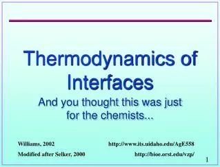 Thermodynamics of Interfaces