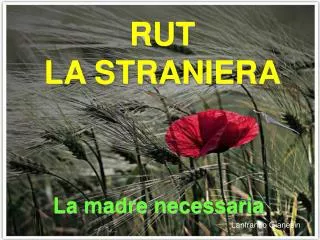 rut la straniera