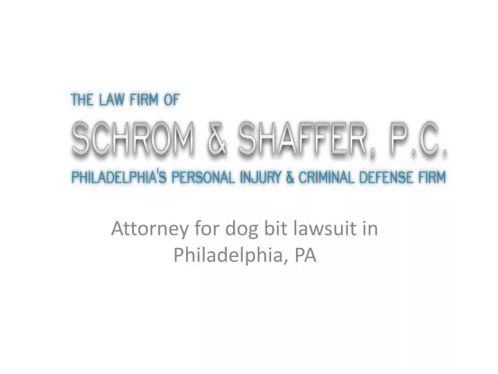 attorney for dog bit lawsuit in philadelphia pa