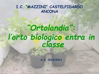 i c mazzini castelfidardo ancona