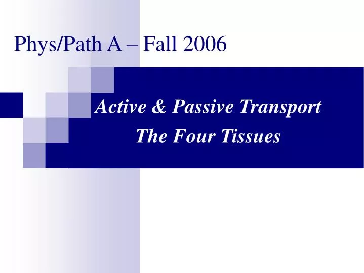 active passive transport the four tissues