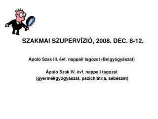 szakmai szuperv zi 2008 dec 8 12