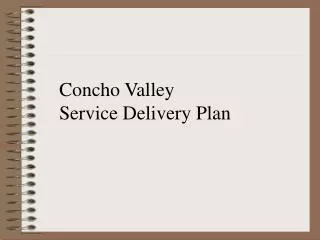 Concho Valley Service Delivery Plan