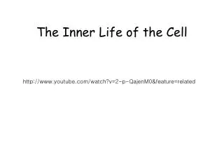 The Inner Life of the Cell