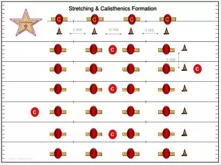 Stretching &amp; Calisthenics Formation