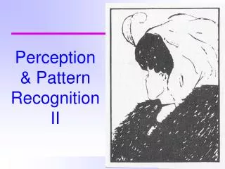 Perception &amp; Pattern Recognition II