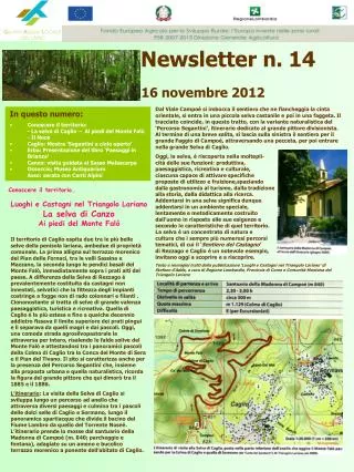newsletter n 14 16 novembre 2012