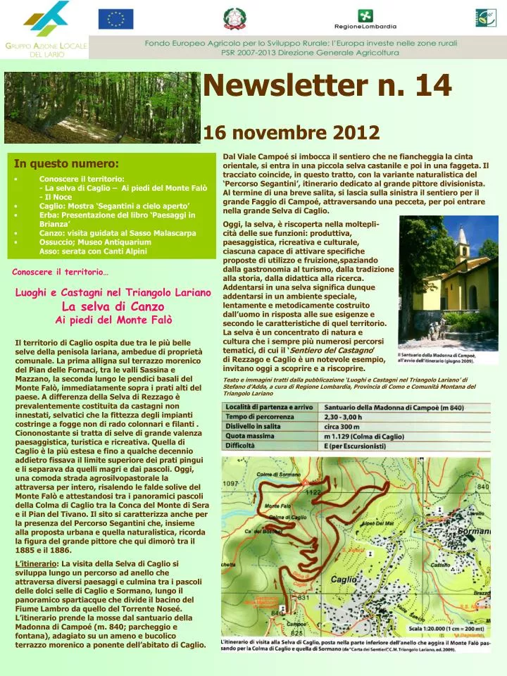 newsletter n 14 16 novembre 2012