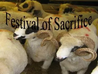 Festival of Sacrifice