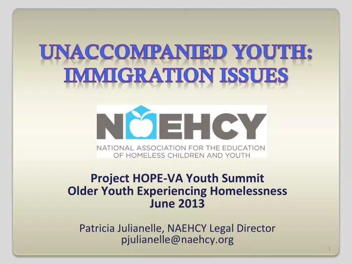 unaccompanied youth immigration issues