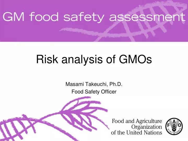 risk analysis of gmos