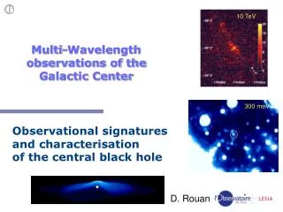 Multi-Wavelength observations of the Galactic Center
