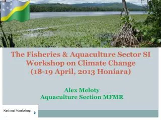 The Fisheries &amp; Aquaculture Sector SI Workshop on Climate Change (18-19 April, 2013 Honiara)