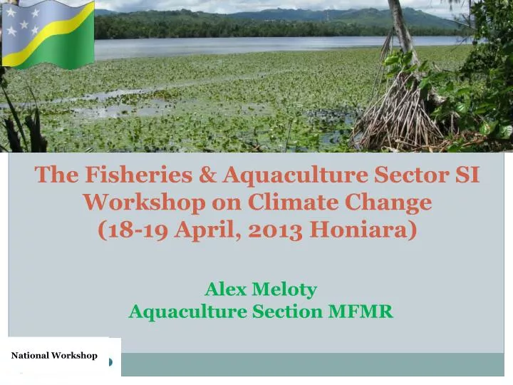 the fisheries aquaculture sector si workshop on climate change 18 19 april 2013 honiara