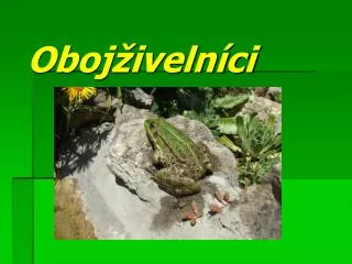 oboj iveln ci