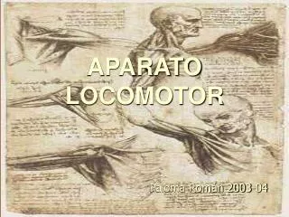 aparato locomotor