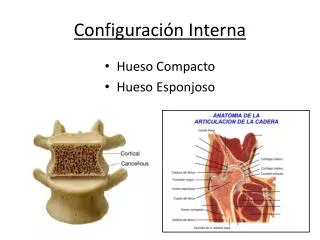 configuraci n interna