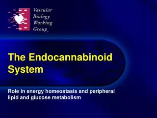 The Endocannabinoid System