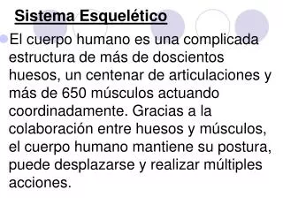 sistema esquel tico