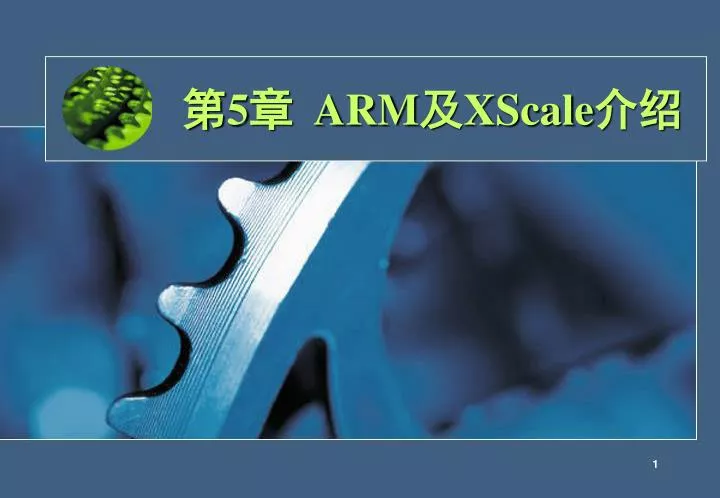 5 arm xscale