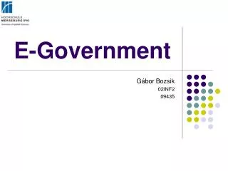e government