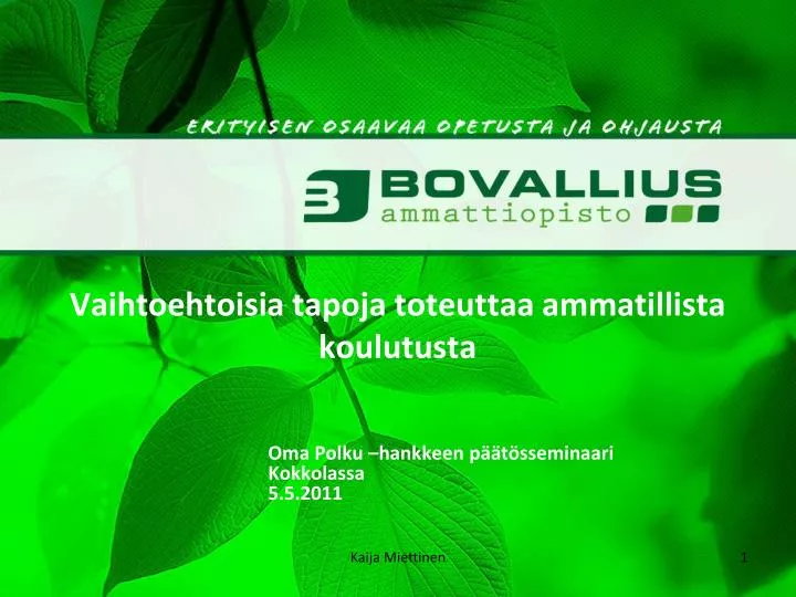 vaihtoehtoisia tapoja toteuttaa ammatillista koulutusta