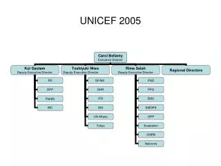 UNICEF 2005
