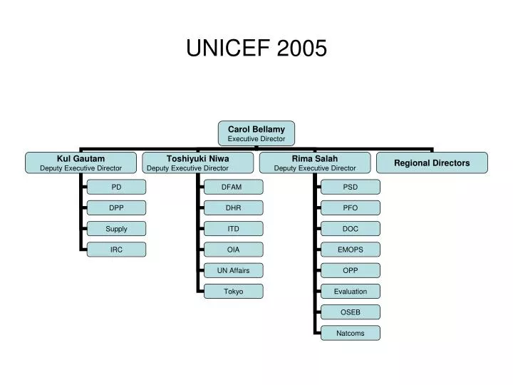 unicef 2005