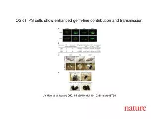 JY Han et al. Nature 000 , 1 - 5 (2010) doi:10.1038/nature08 735