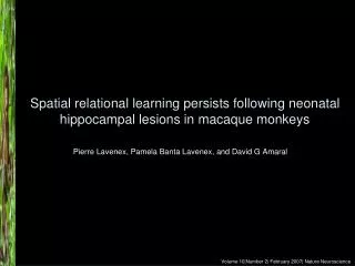 Spatial relational learning persists following neonatal hippocampal lesions in macaque monkeys