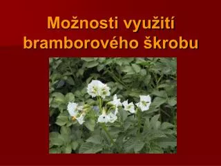 mo nosti vyu it bramborov ho krobu