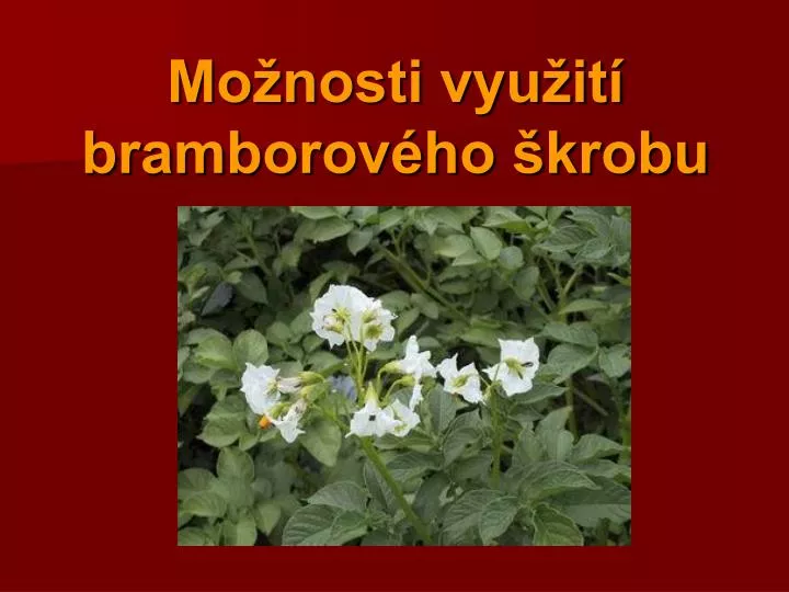 mo nosti vyu it bramborov ho krobu