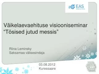 v ikelaevaehituse visiooniseminar t sised jutud messis