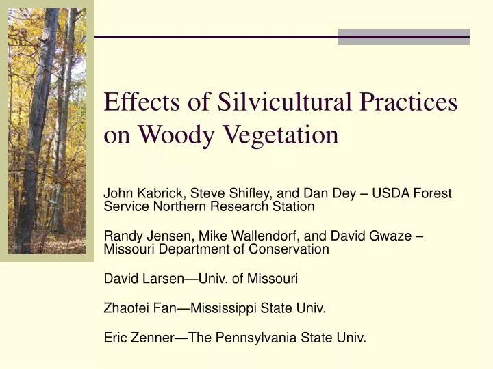 effects of silvicultural practices on woody vegetation