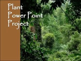 Plant Power Point Project