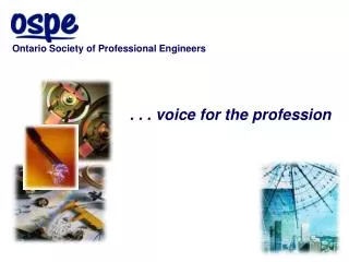 . . . voice for the profession