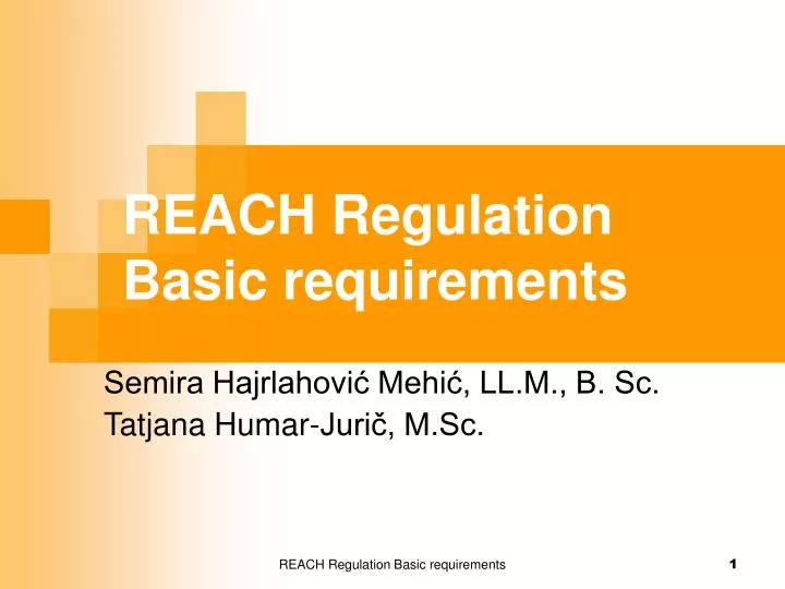 reach regulation basic requirements