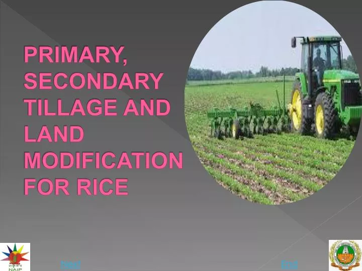 primary secondary tillage and land modification for rice