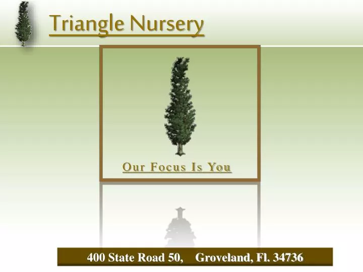 triangle nursery