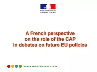 A French perspective on the role of the CAP in debates on future EU policies