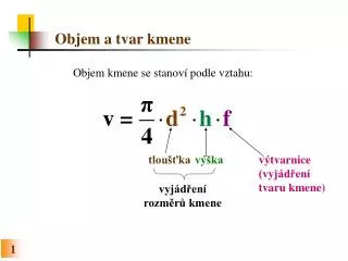 objem a tvar kmene