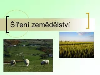 en zem d lstv