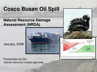 Cosco Busan Oil Spill Natural Resource Damage Assessment (NRDA) January, 2008
