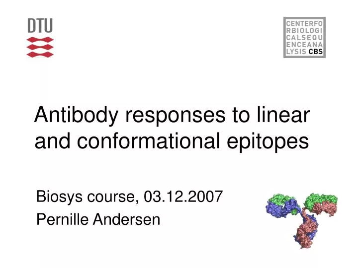 antibody responses to linear and conformational epitopes
