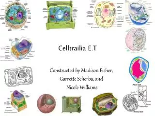Celltrailia E.T