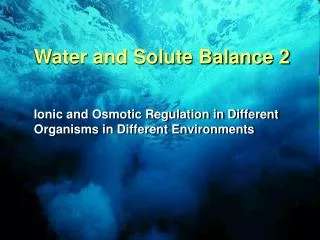 Water and Solute Balance 2