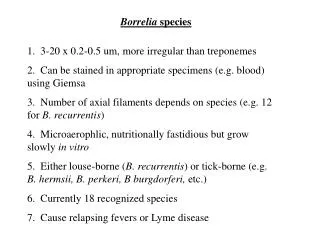 Borrelia species