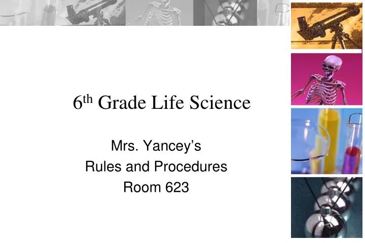 6 th grade life science